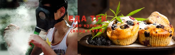 хмурый Алзамай